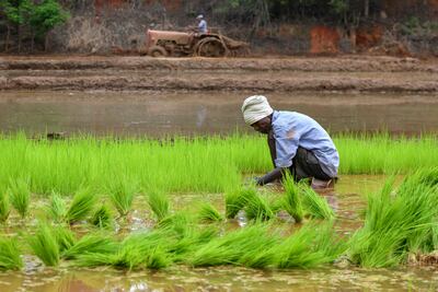 América y África impulsan cooperación en ciencia y tecnología en agricultura