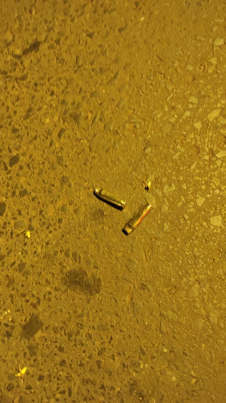 Algunas vainas esparcidas por el suelo.