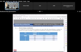 En la audiencia pública virtual se dieron a conocer los bloques, las potencias de cada uno y desde qué mes estarán disponibles para su entrega.