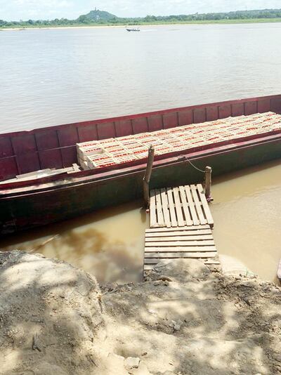 Según la denuncia de comerciantes, el 90% de la oferta de tomate en el mercado local es contrabando, y la autorización para la importación solo legalizará esa situación irregular.