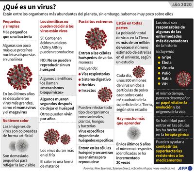 ¿QUÉ ES UN VIRUS?