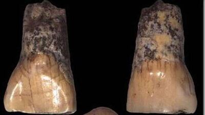 Un equipo británico de científicos ha obtenido el ADN humano más antiguo encontrado jamás en el Reino Unido y corresponde a dos grupos distintos de individuos que emigraron a las islas británicas en el Paleolítico, al final de la última edad de hielo.