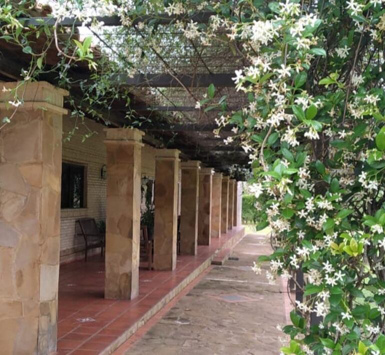 El aroma del jazmín inunda el corredor de las habitaciones.