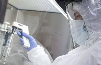 La investigación se centró en el estudio de la enzima fosfolipasa sPLA2-IIA, para lo que el equipo analizó muestras de sangre de dos cohortes de pacientes con covid-19 y vieron que la circulación de esta “puede ser el factor más importante para predecir” qué pacientes con covid-19 pueden acabar falleciendo.