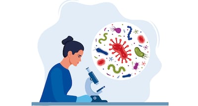 Las eubacterias y las arqueobacterias, también llamadas reino moneras, incluye a todos los seres procariotas.
