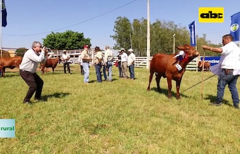 ABC RURAL: Expo Guairá 2021 mostró el potencial productivo de la zona
