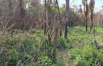 Personal de Investigaciones analizando el lugar donde ocurrió el ataque.
