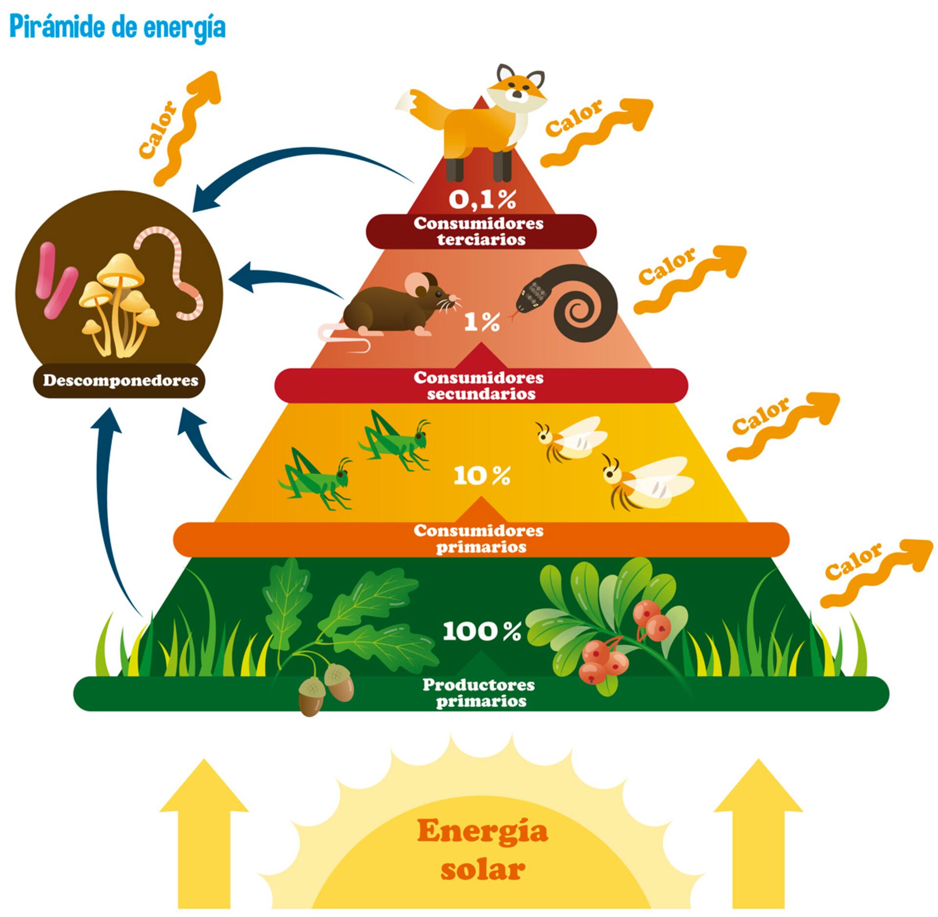 pirámide de energía