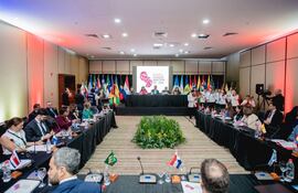 La 96° Reunión Ordinaria del Consejo Directivo del Instituto Interamericano del Niño, la Niña y Adolescentes (IIN) tuvo como sede Asunción y culminó hoy.