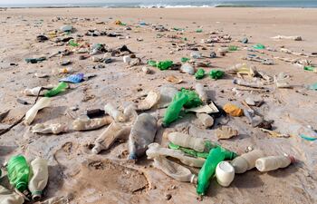 Más del 80 % de la basura que va a dar a los océanos se genera en tierra y uno de los contribuyentes mayores en esta contaminación es el plástico. (Imagen de archivo, EFE)