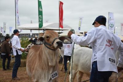 Salud aprobó el protocolo sanitario para Expo Pioneros 2021.