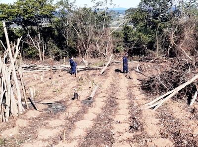 Movimiento y alteración de suelo, además de tala de  especies nativas  constataron en el cerro San Antonio.