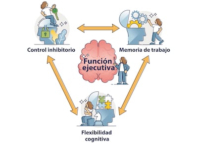 Cómo se desarrollan las funciones ejecutivas.