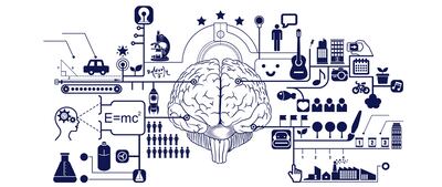 Cerebro, motor del conocimiento.