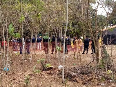 /pf/resources/images/abc-placeholder.png?d=2428