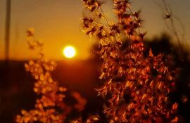 La Dirección de Meteorología pronostica una jornada soleada con temperaturas agradables.