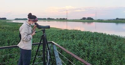 Aquí avistaron la garza mora, karãu, teros, garcita blanca, mbigua, jacanas y hoko pytã.