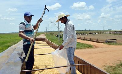 La prórroga del IRE permitirá a pequeños productores vender por con trámites simplificados.