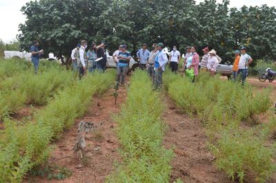 Los productores perdieron mercado debido a la contaminación de sus chacras.