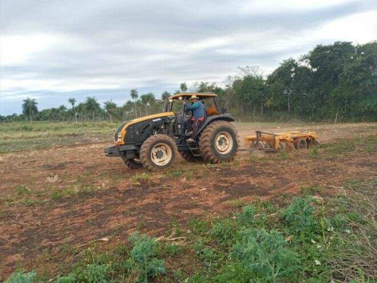 Se recomienda sustituir la rastroneada por siembra directa y rotación de cultivo con variedad de semillas.