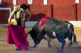 Imagen de archivo de la corrida de feria de Alcázar de San Juan (Ciudad Real), con toros de El Torero el pasado 4 de setiembre.