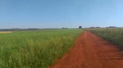 Un brasileño cultiva en la propiedad de los indígenas.