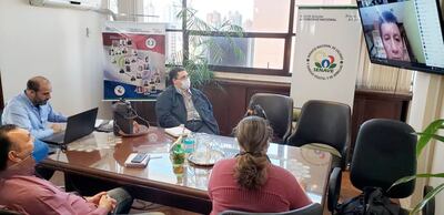 Autoridades del Senave participando de la reunión virtual del Cosave, ayer.