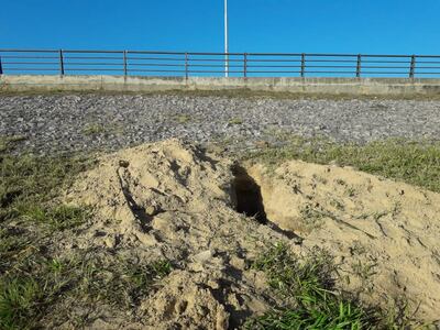 /pf/resources/images/abc-placeholder.png?d=2395