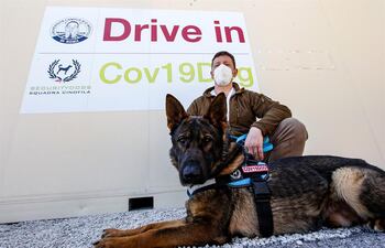 Lex, uno de los perros entrenados para detectar el Covid con el olfato en Roma.