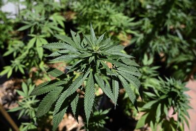 /pf/resources/images/abc-placeholder.png?d=2429