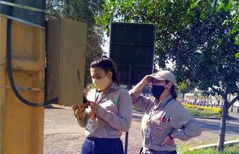 Encontraron que había errores en la lectura o carga de las mismas en las facturaciones de la ANDE en el Este (imagen ilustrativa).