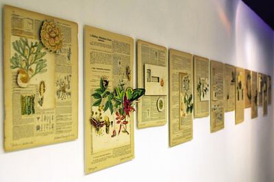 Microtopías y El jardín de Andrómaca