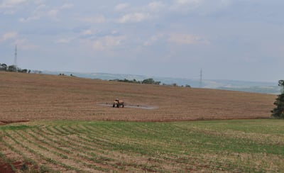 En setiembre arrancará la siembra de soja si el clima ayuda, sin embargo antes de esto se recomienda a los productores realizar los controles preventivos de malezas y desecaciones adecuadas.
