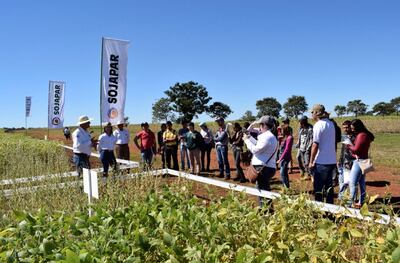El convenio Inbio-Ipta ha invertido años en la creación de las variedades Sojapar. Hoy existen personas que ofrecen  semillas sin certificación, lo cual es un delito, pero no hay control alguno.