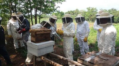 Los primeros pasos en el Comité de Apicultores El Nuevo Amanecer de San Francisco.