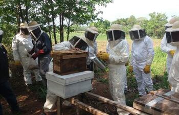 Los primeros pasos en el Comité de Apicultores El Nuevo Amanecer de San Francisco.