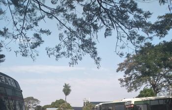 Los ómnibus de la empresa San Fernando (línea 21) no salieron a operar este miércoles porque la mayoría de los buses no están en condiciones.