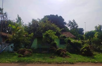 Tres árboles cayeron sobre una vivienda en la localidad de Tebicuary, Guairá.