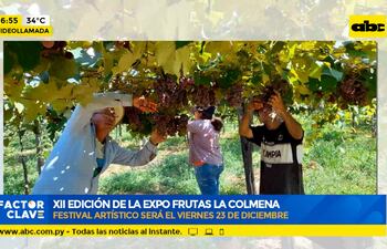 XII edición de la expo frutas La Colmena