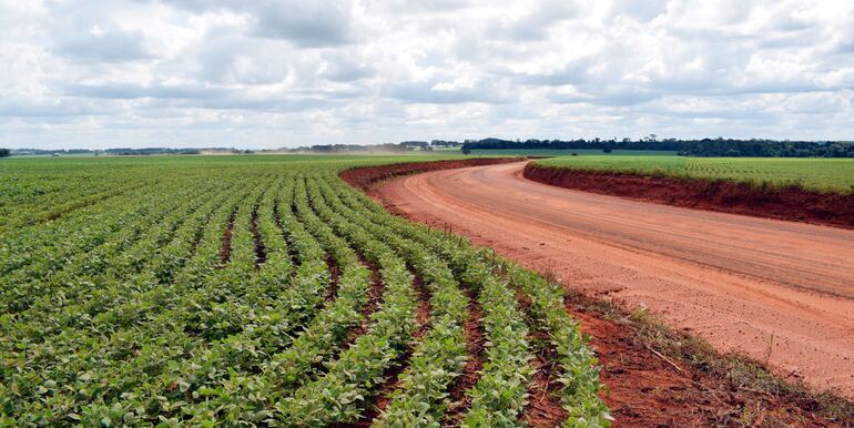 El año pasado se sembraron 3.544.000 hectáreas de soja y  este año se espera llegar a 3.600.000.