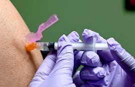 En mayo próximo llegarían al país las vacunas contra la influenza.