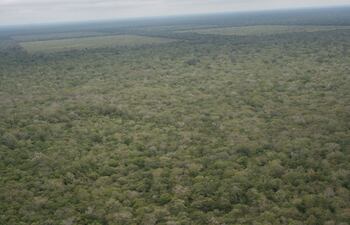 Vista aérea de los bosques del Chaco, donde habitan varias comunidades nativas.