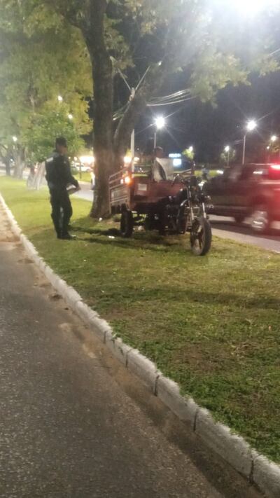 El conductor de la moto impactó contra el árbol del paseo central.