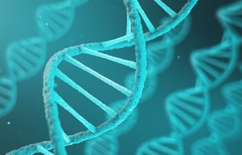 La tecnología de edición genética se amplía con una nueva herramienta para aplicar en las mitocondrias (las fábricas de energía de las células) y que, según el equipo investigador, era la última pieza que faltaba en “el rompecabezas” de la edición de genes.