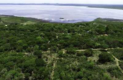 La empresa de Eduardo Heisecke pagó apenas US$ 67.000 por una propiedad que valdría cerca de 30 veces más.