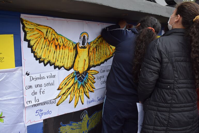 alumnos realizaron trabajos didácticos sobre la importancia de la conservación de las aves