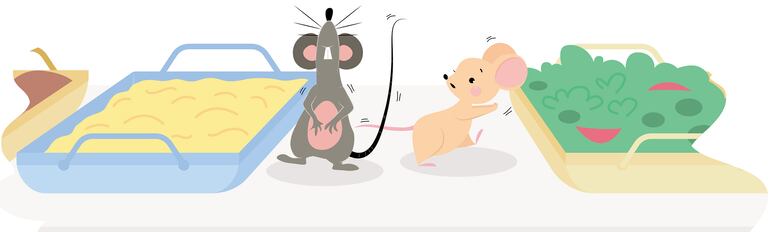 La rata de campo y la rata de ciudad (adaptación)