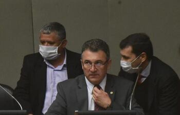 El Ing. Luis Villordo, presidente de la ANDe, durante la interpelación en la Cámara de Diputados, este miércoles.