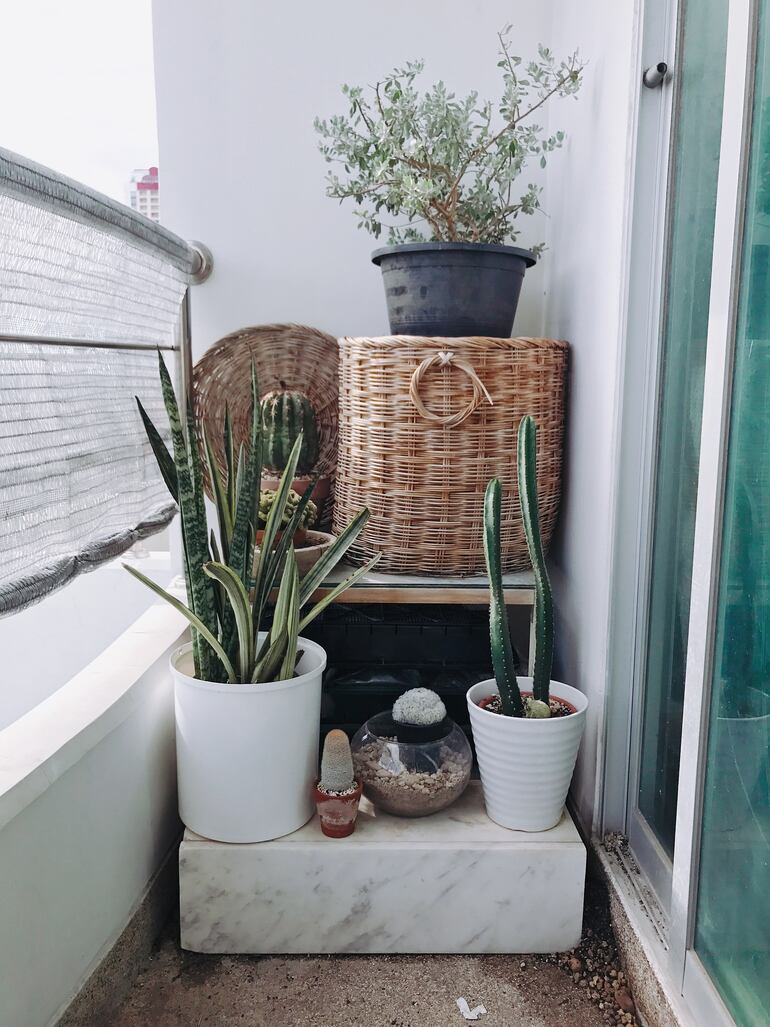 Decorar balcones con plantas, un acierto.