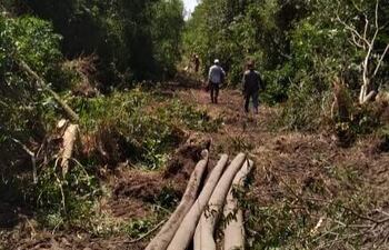 Un grupo de vecinos de Puerto Barranquerita ingresa en un sector despoblado para trabajar en el mejoramiento del tendido eléctrico.